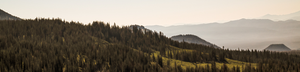 Panther Meadows