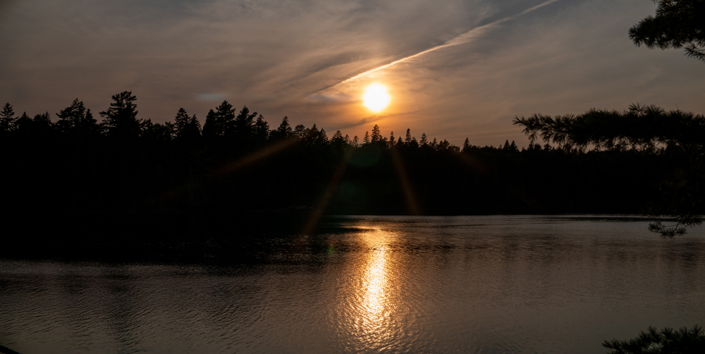 Cobscook Bay State Park