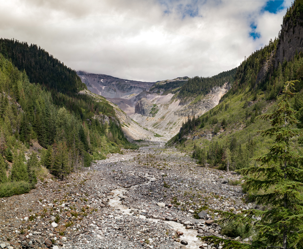 Mt. Rainier National Park